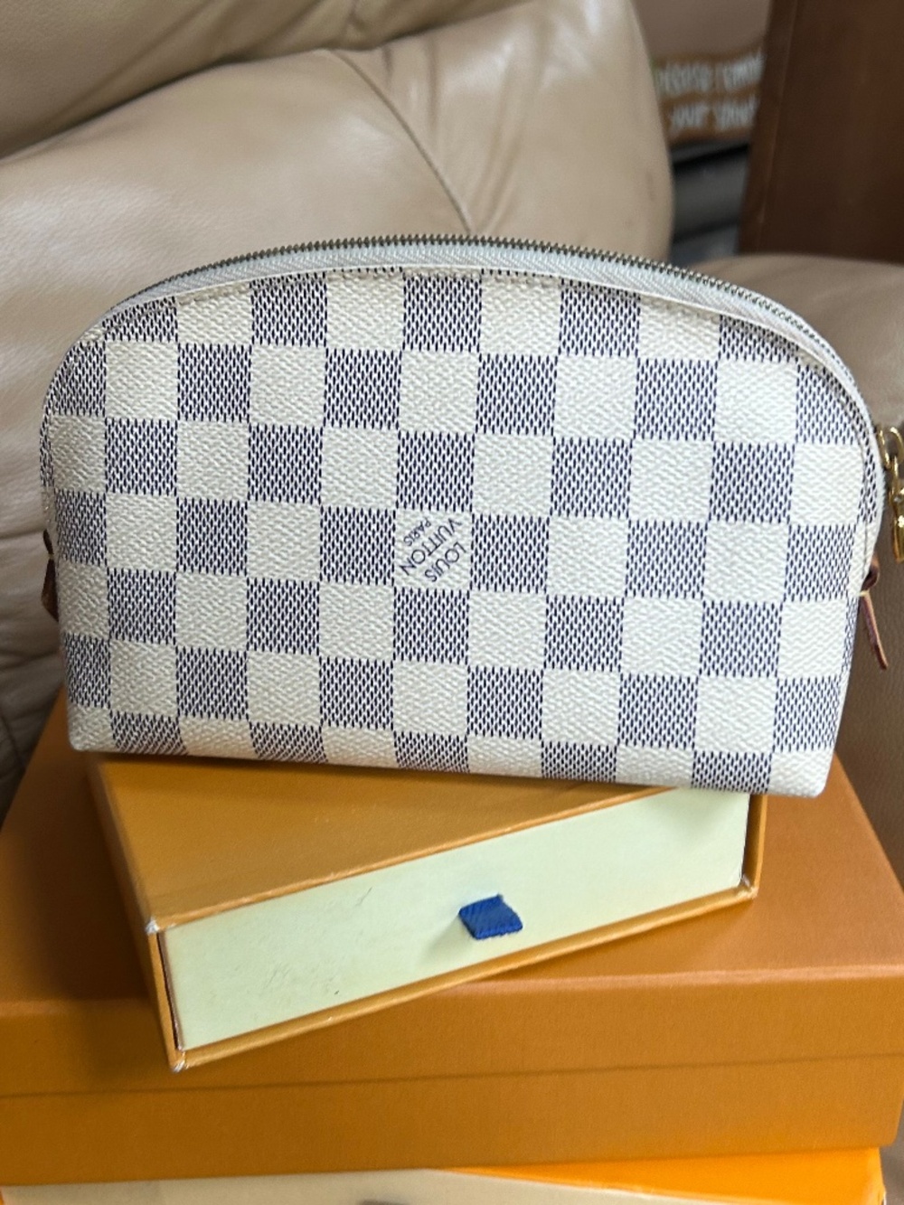 Incredible Louis Vuitton Cosmetic Bag/Clutch
